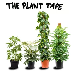 The Plant Tape