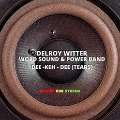 Reggae Dub Stream