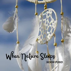 When Nature Sleeps