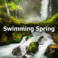 Swimming Spring