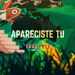 Apareciste Tú