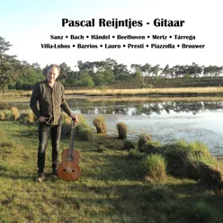 Pascal Reijntjes - Gitaar