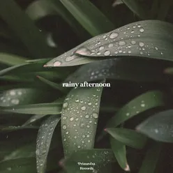 Rainy Afternoon
