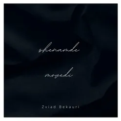 Shenamde Movedi (Zviad Bekauri Remix)
