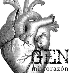 Mi Corazón