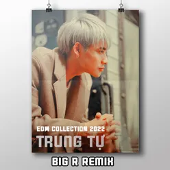 Con Tim Anh Tan Thành Mây Khói (DJ Big R Remix)