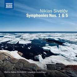 Symphony No 5: I. Adagio