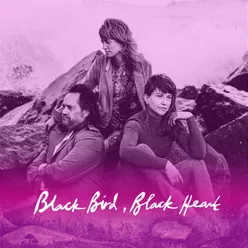 Black Bird, Black Heart