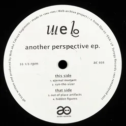 Another Perspective EP