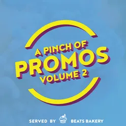 A Pinch of Promos, Vol. 2