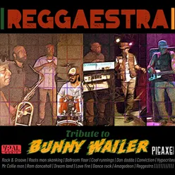 Tribute to Bunny Wailer