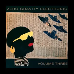 Zero Gravity Electronic: Vol. 3