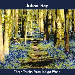 Three Tracks from Indigo Wood