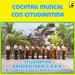 Cocktail Musical Con Estudiantina