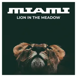 Lion in the Meadow