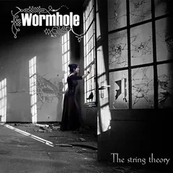 The String Theory