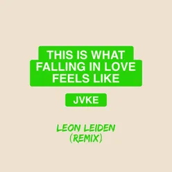 this is what falling in love feels like (Leon Leiden Remix)
