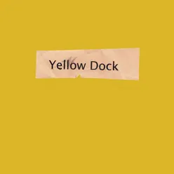 Yellow Dock