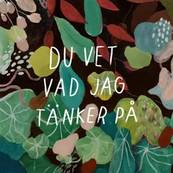 Du vet vad jag tänker på