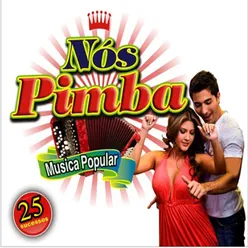 Nós Pimba - Música Popular