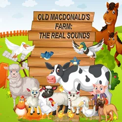 Old Macdonald's Farm: The Real Sounds