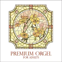 Premium Orgel for Adults (Orgel)