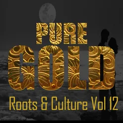 Pure Gold Roots & Culture Vol 12