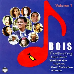 D' Bois, Vol. 1