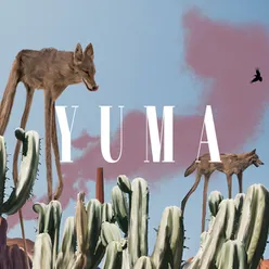 Yuma