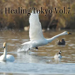 Healing Tokyo, Vol. 7 (Healing Tokyo Ver.)