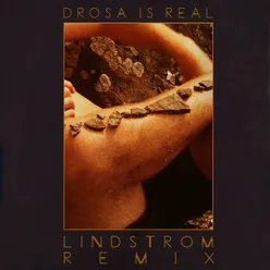 Drosa is real! (Lindstrøm Remix)