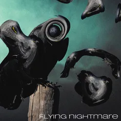 Flying Nightmare