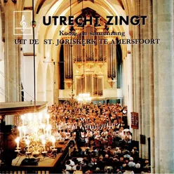 Utrecht Zingt