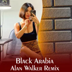 Alan Walker (Remix)
