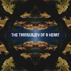 The Tranquility of a Heart