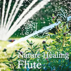 Nature Healing Flute