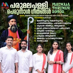 Parumala Thirumeni Songs - Single