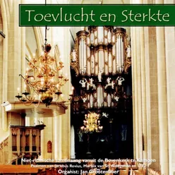 Wybe Kooijmans bespeelt het Witte-Orgel in de Grote Kerk te Naarden