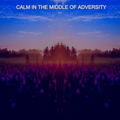 Calm in the Middle of Adversity