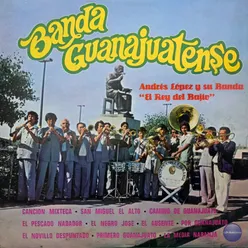 Banda Guanajuatense