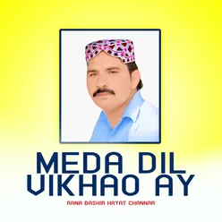 Meda Dil Vikhao Ay