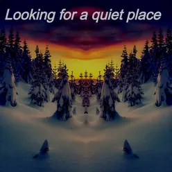 Looking for a Quiet Place