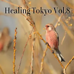 Healing Tokyo Vol.8 (Healing Tokyo Ver.)