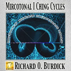 Microtonal I Ching Cycles