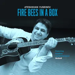 Ateshkhan Yuseinov: Fire Bees in a Box