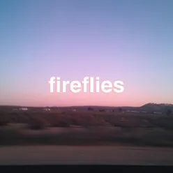 Fireflies