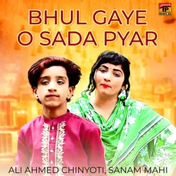 Bhul Gaye O Sada Pyar - Single