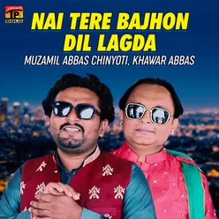 Nai Tere Bajhon Dil Lagda - Single