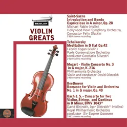 Concerto for Two Violins, Strings and Continuo in D Minor, BWV 1043: I. Vivace