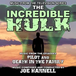 The Lonely Man Theme (From The Incredible Hulk: Pilot Movie)